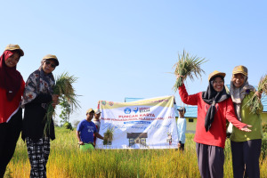 Agrotechnopreneurship_Panen_17-18 Mei 2023