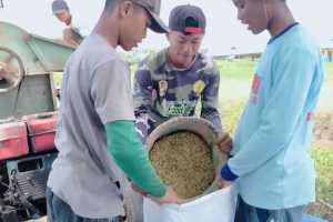 AGROTECHNOPRENUERSHIP MILENIAL SMAN 2 Pandih Batu